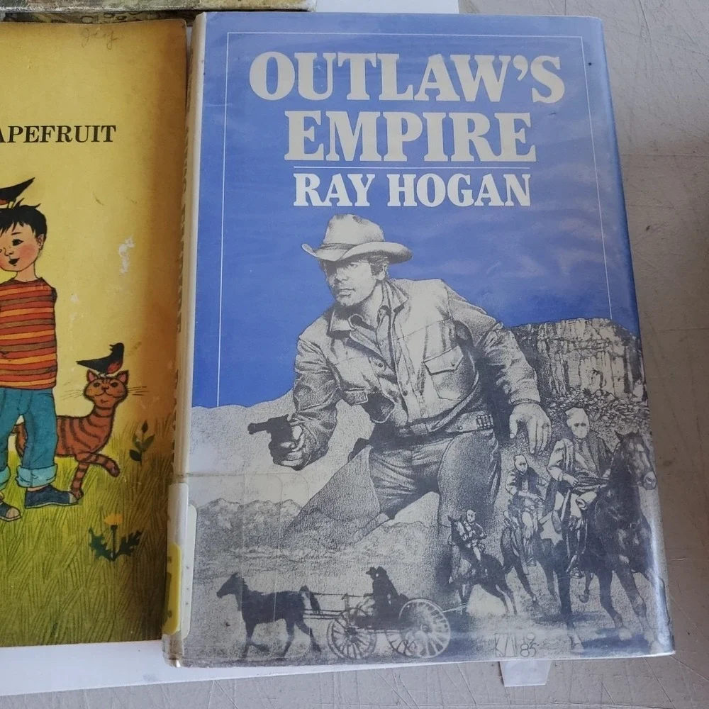 LITTLE HOUSE IN THE BIG WOODS Laura Ingalls Wilder Homeschool Lot 13 Bobbsy Twin